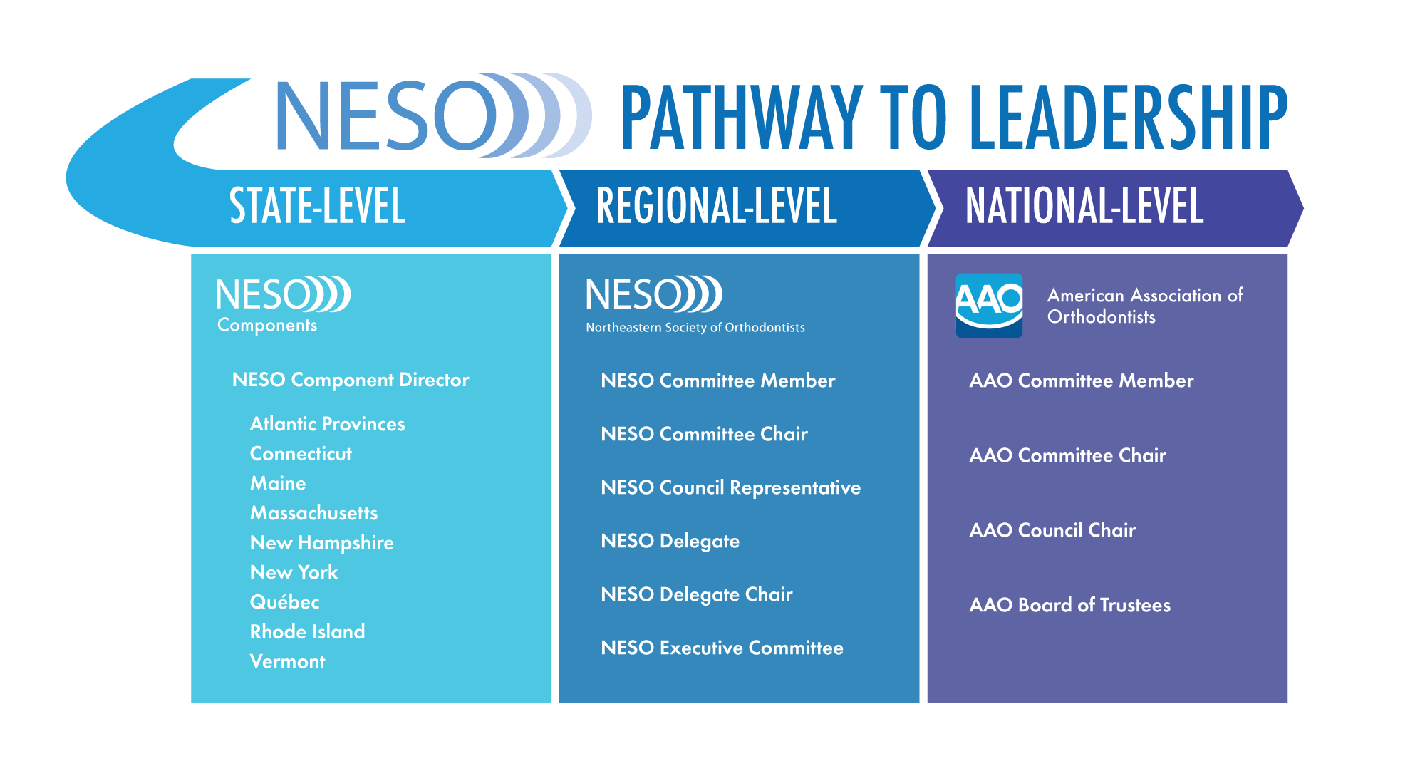 NESO and AAO Pathway to leadership infographic